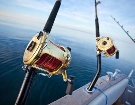 Fishing Report